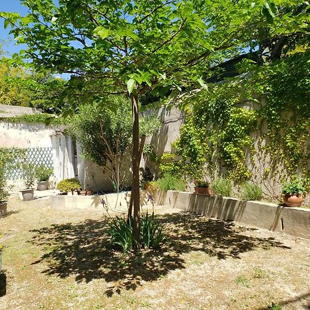 Appartement Au Coeur De Cassis Avec Jardin ภายนอก รูปภาพ