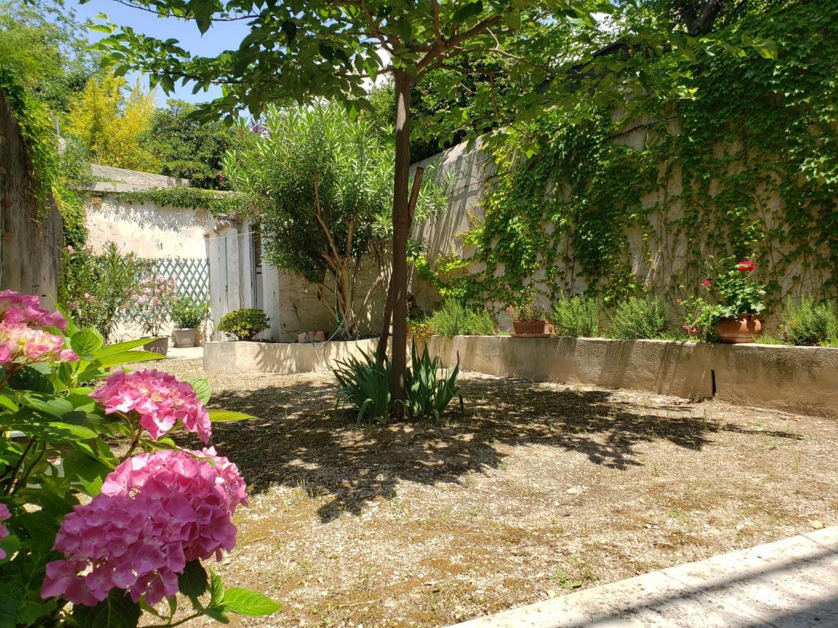 Appartement Au Coeur De Cassis Avec Jardin ภายนอก รูปภาพ